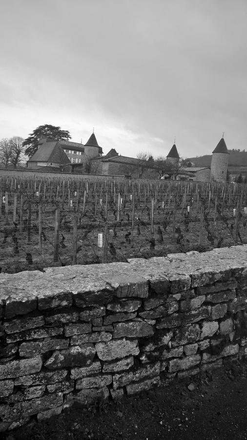 Отель Domaine La Fontaine Du Mont Chasselas Экстерьер фото